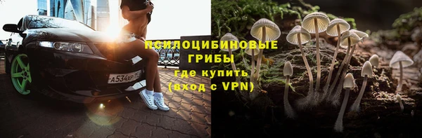 apvp Рославль