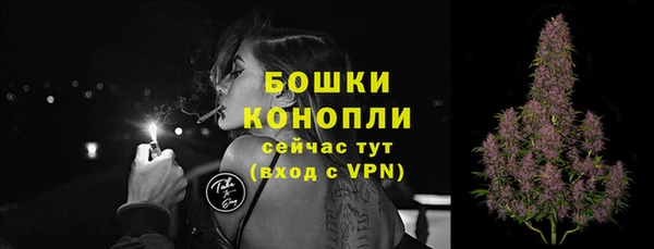 молекула духа Протвино