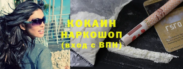 apvp Рославль