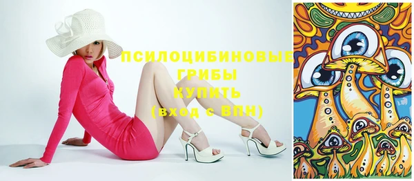молекула духа Протвино