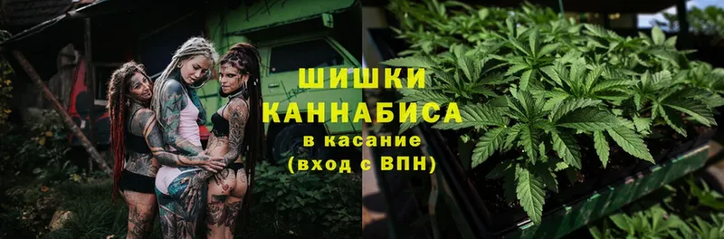 где найти   Александровск-Сахалинский  Шишки марихуана Bruce Banner 